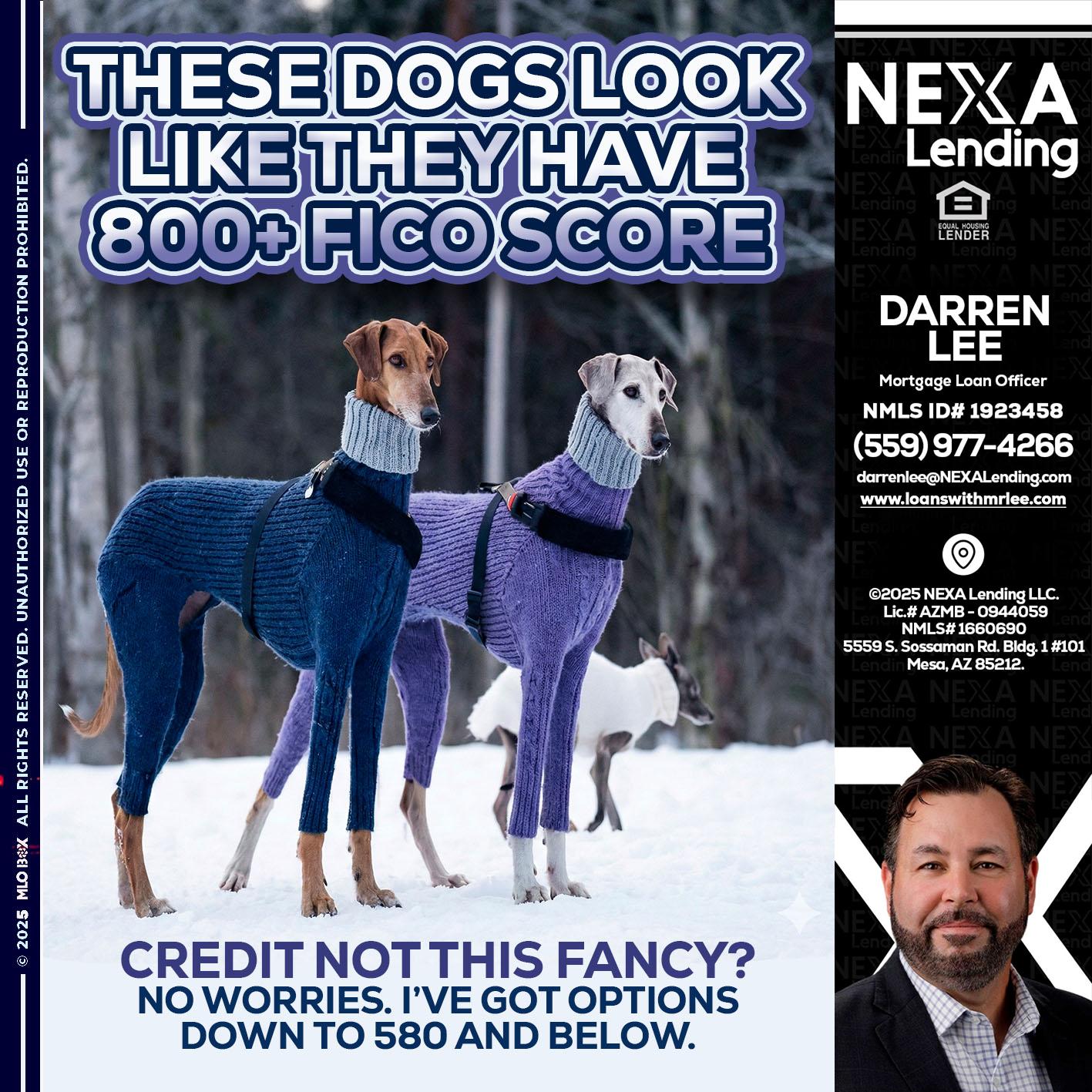 THESE DOGS LOOK - Darren Lee -Mortgage Loan Officer